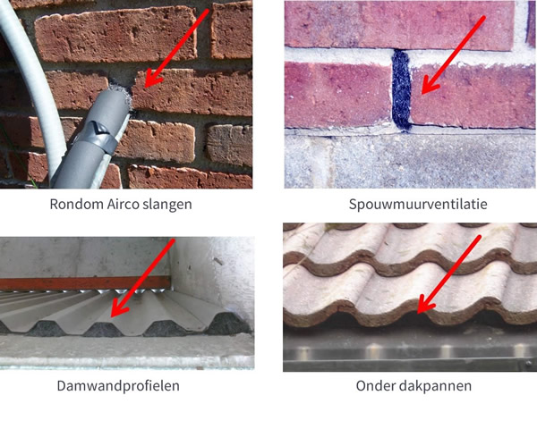 Voorbeelden van staalwol om muizen te weren